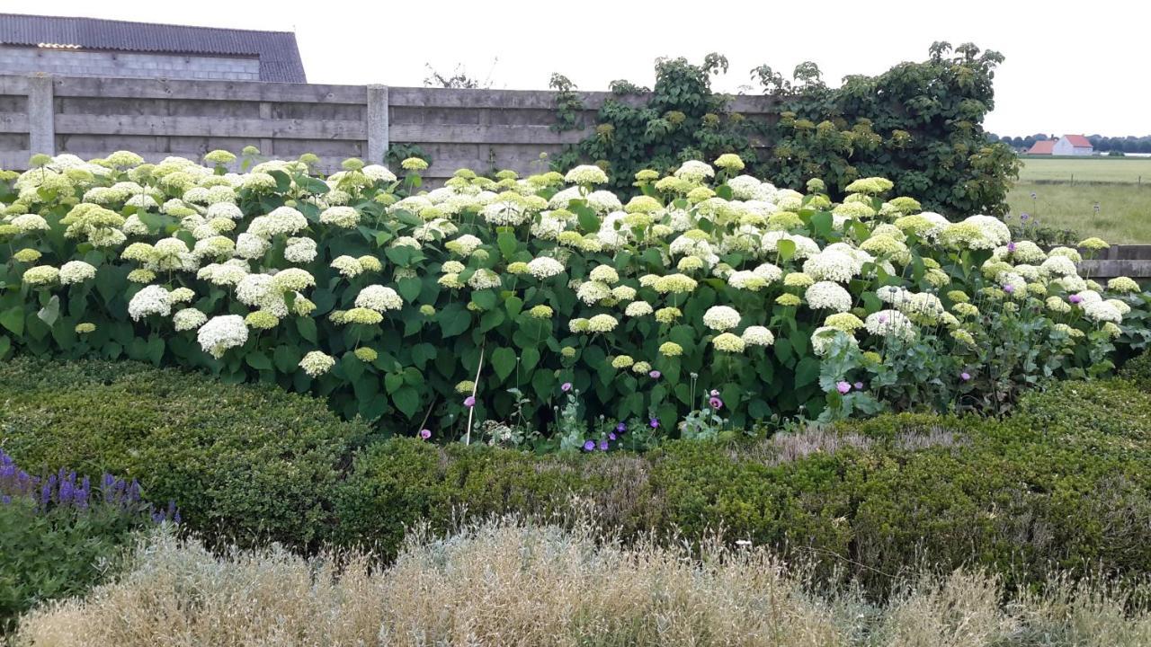 Gits B&B Bergdal المظهر الخارجي الصورة