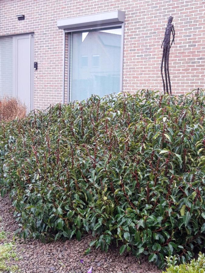 Gits B&B Bergdal المظهر الخارجي الصورة